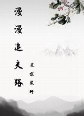 漫漫追妻路电影
