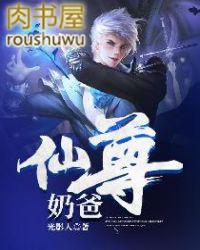 仙尊奶爸当赘婿动漫