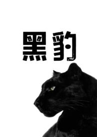 兽人大竹黑豹