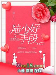 书名娇妻重生陆总