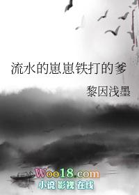 流水的崽崽铁打的爹TXT