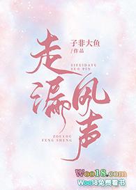 走漏风声的走的意思