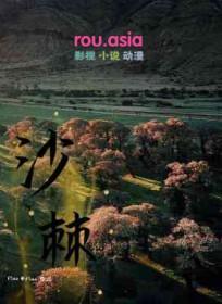 沙棘软胶囊的功效作用与主治