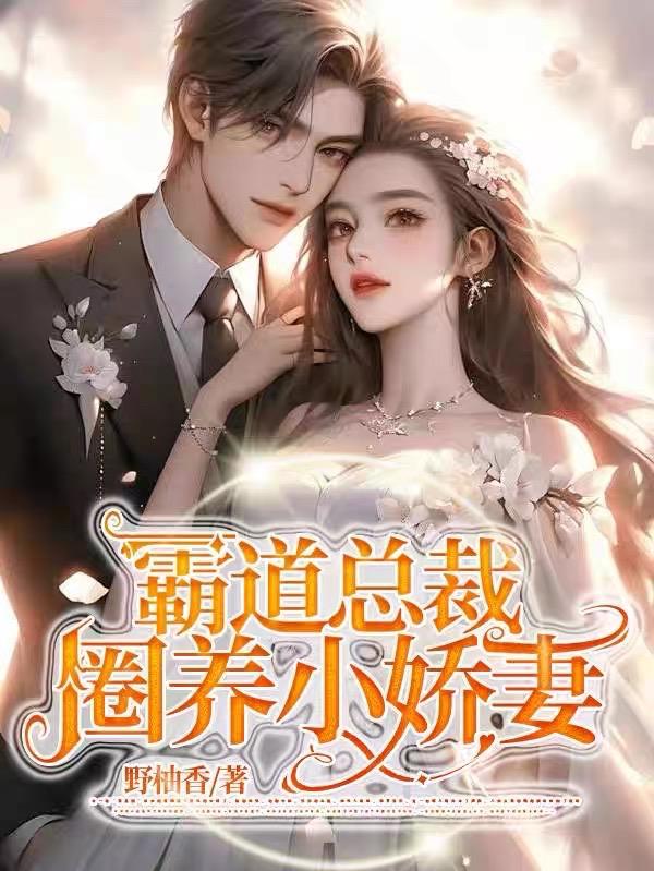 霸道总裁爱上小娇妻完整版