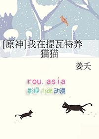 原神提瓦特游览指南第三卷