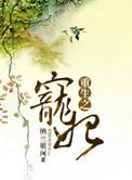 重生之宠妃朱女