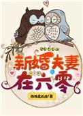 新婚夫妻在六零年代无防盗