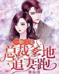 一胎三宝总裁爹宠妻地超给力