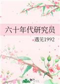 六十年代研究员陆见