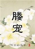 媵宠全文阅读免费