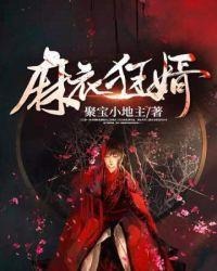 麻衣狂婿陆长清