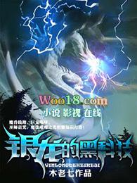 银龙的黑科技 笔趣阁