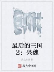 最后的三国2兴魏女主