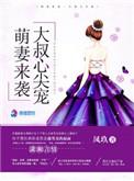 陆先生和陆太太免费阅读