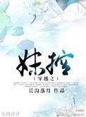 穿越之妹控推文