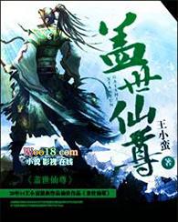 盖世仙尊境界