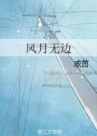 凤月无边林家成百度