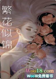 繁华似锦剧情介绍