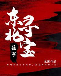 东北寻宝往事短剧合集