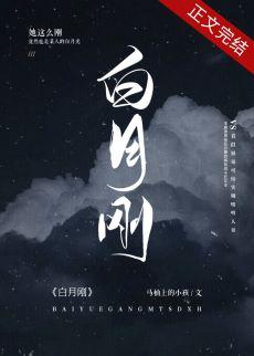 白月刚的主要内容