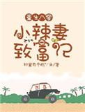 重生八零小辣妻致富记盘