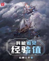 海贼之我能看见经验值