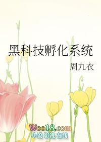科技孵化器运营