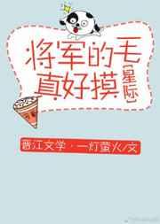将军的毛真好摸盘搜搜