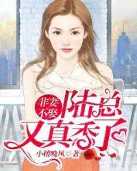 非妻不娶陆总又真香了免费阅读