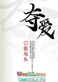 夺爱电视剧