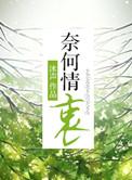 奈何情深的下一句是什么