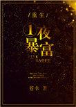 一夜暴富