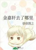 金嘉轩去了哪里 剧透