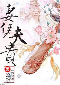 妻凭夫贵全文免费阅读大结局
