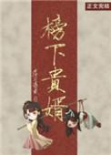 榜下佳婿电视剧