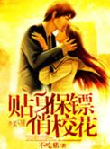 贴身保镖主角