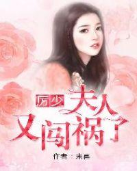 夫人又闯祸了百度