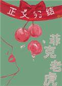 菲克老虎免费阅读无弹窗