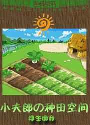 小夫郎的种田空间浮生闲月txt