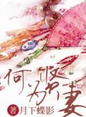 何为贤妻全本TXT免费