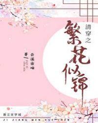 清穿之繁花似锦巴林氏