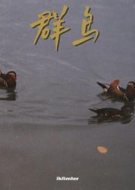 群鸟飞来成一行是什么意思
