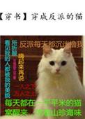 穿成反派的猫72章