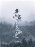 青山看我应如是攻受是谁