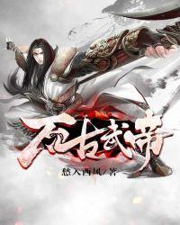 万古武帝林云完整版