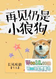 再见仍是小狼狗长风疾