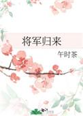 将军归来昭昭