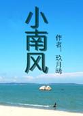 小南风电视剧在线观看