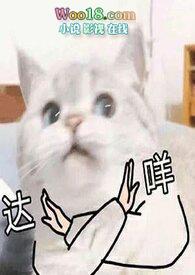 翻身而起