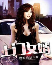 上门女婿叶辰免费全文阅读完整版